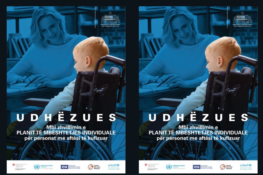 GUIDELINES FOR DEVELOPING AN INDIVIDUAL SUPPORT PLAN FOR PERSONS WITH DISABILITIES